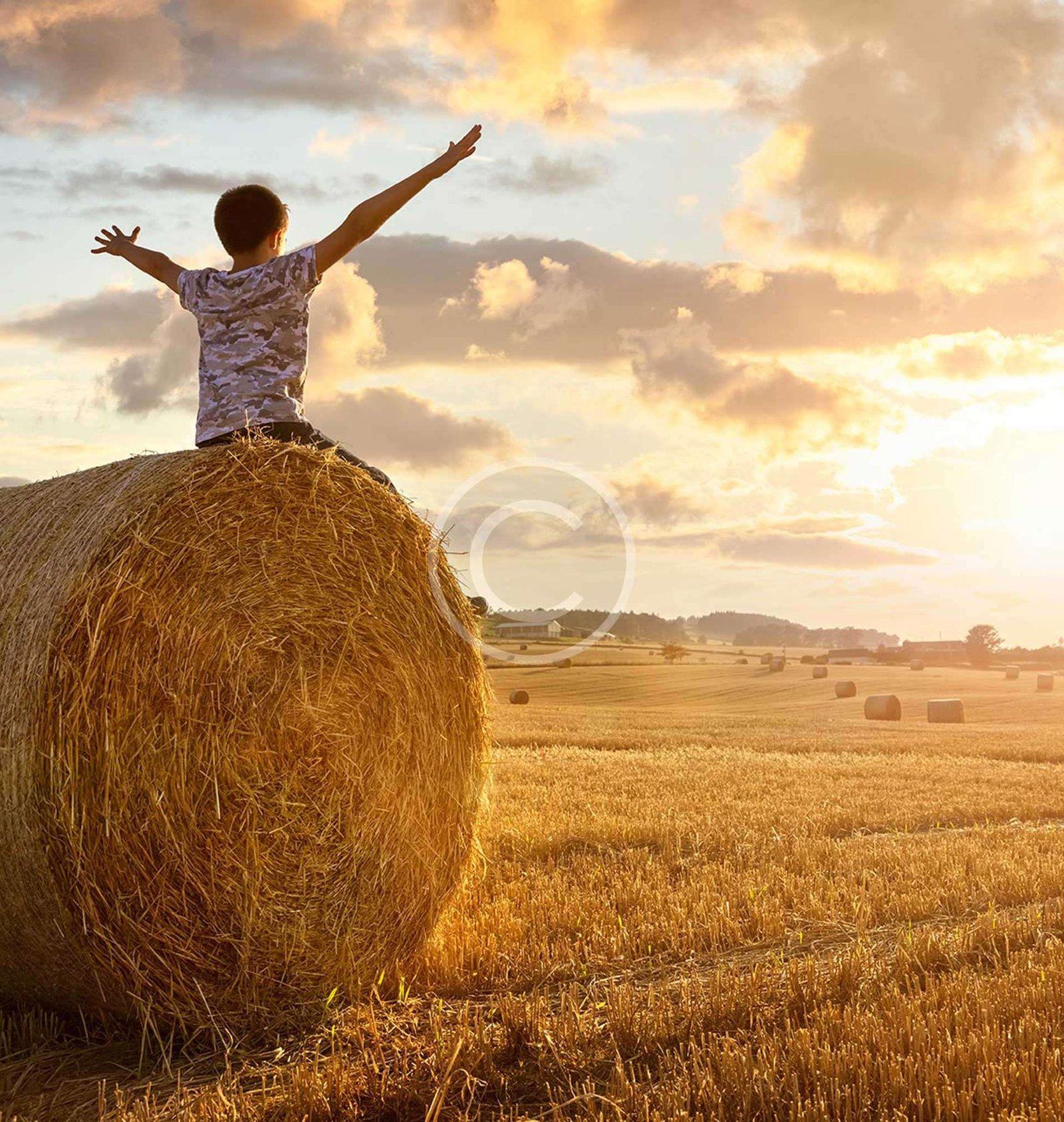 home3-image1-copyright